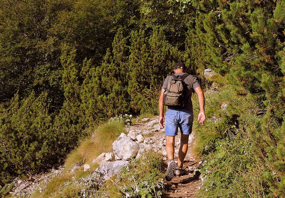 walk, hiking, mountain, trail, man, tranquility, green, trees HD wallpaper