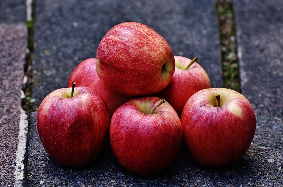 apple, red, delicious, fruit, ripe, red apple, frisch, vitamins HD wallpaper