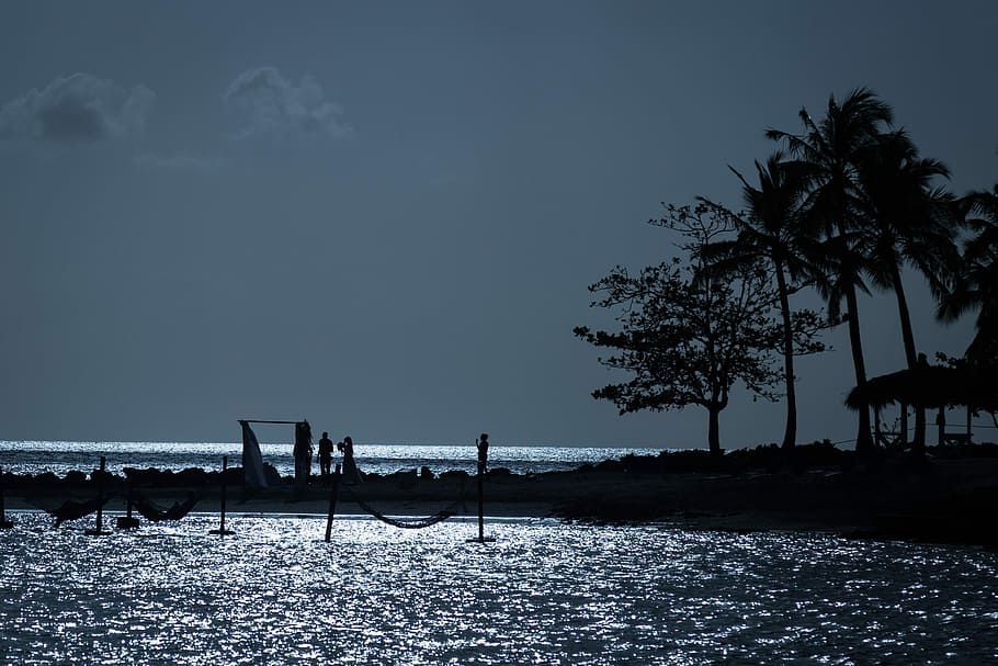 Wedding in Paradise, silhouette photography of two person on shoreline HD wallpaper