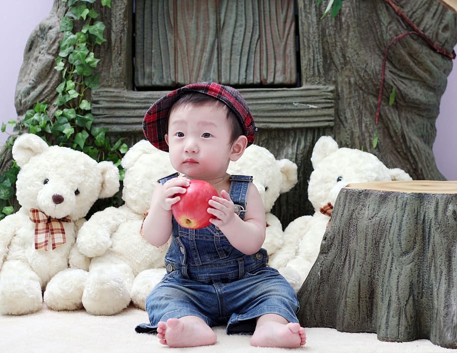 boy holding red apple fruit sitting beside four bear plush toys, HD wallpaper