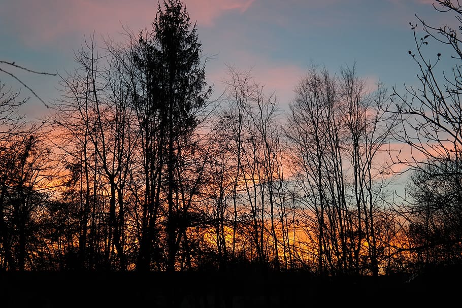 Sunset, Evening, Clouds, afterglow, evening sky, trees, abendstimmung HD wallpaper