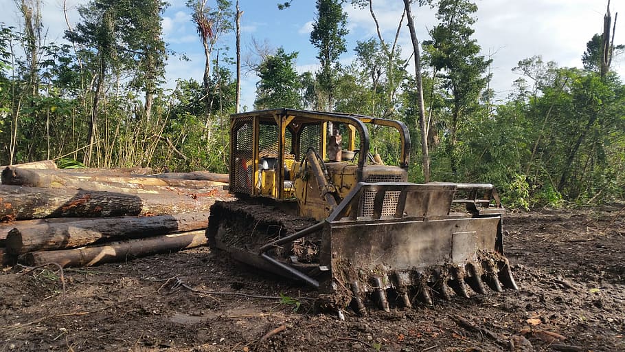 wood, soil, industry, machine, tree, bulldozer, machinery, outdoors HD wallpaper