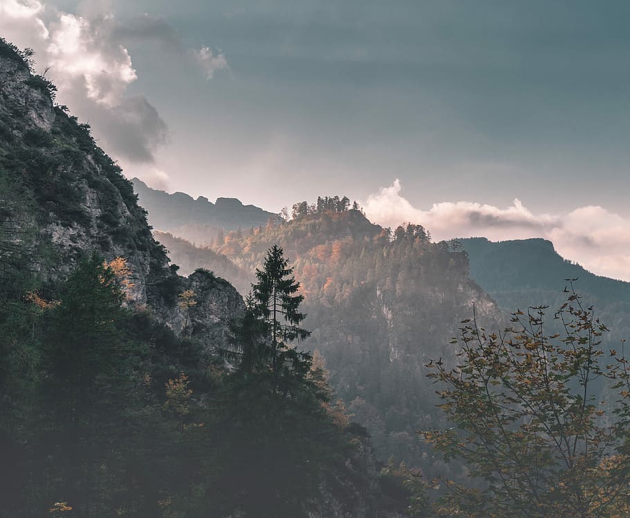 fog over mountains, scenery of forest and mountain, rock, cloud HD wallpaper