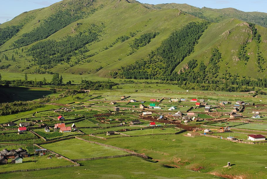 mongolia, green, grass, landscape, asia, outdoors, sunny, grassland HD wallpaper