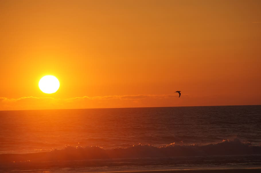 sunset, ocean, wave, sand, beach, biscarrosse, atlantic, sea HD wallpaper