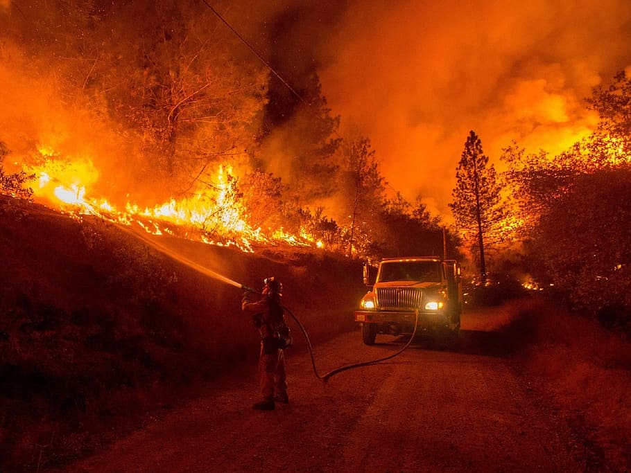 wildfire, firemen, flames, hot, burning, heat, dangerous, fire engine