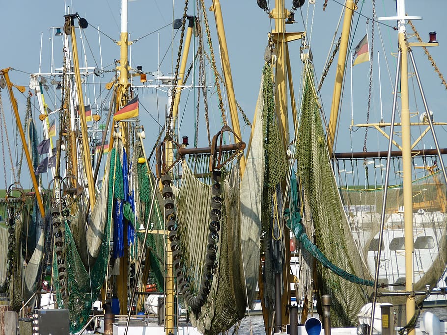 ship, boot, fischer, port, fishing nets, cutter, northern germany HD wallpaper