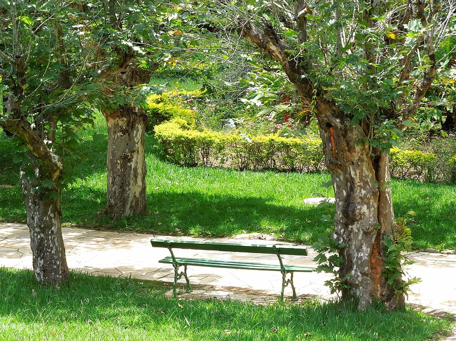 park, trees, park bench, landscape, plant, seat, grass, tree trunk HD wallpaper