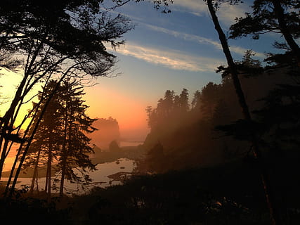 green trees near body of water, ruby beach, sea, washington HD wallpaper