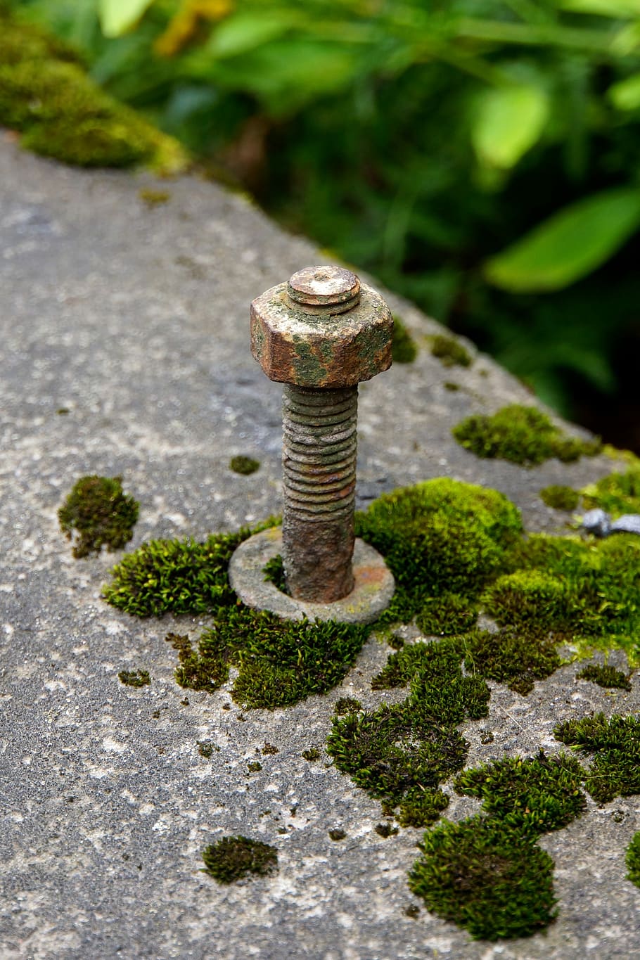 nut, bolt, threads, bracket, old, mossy, no people, day, metal HD wallpaper