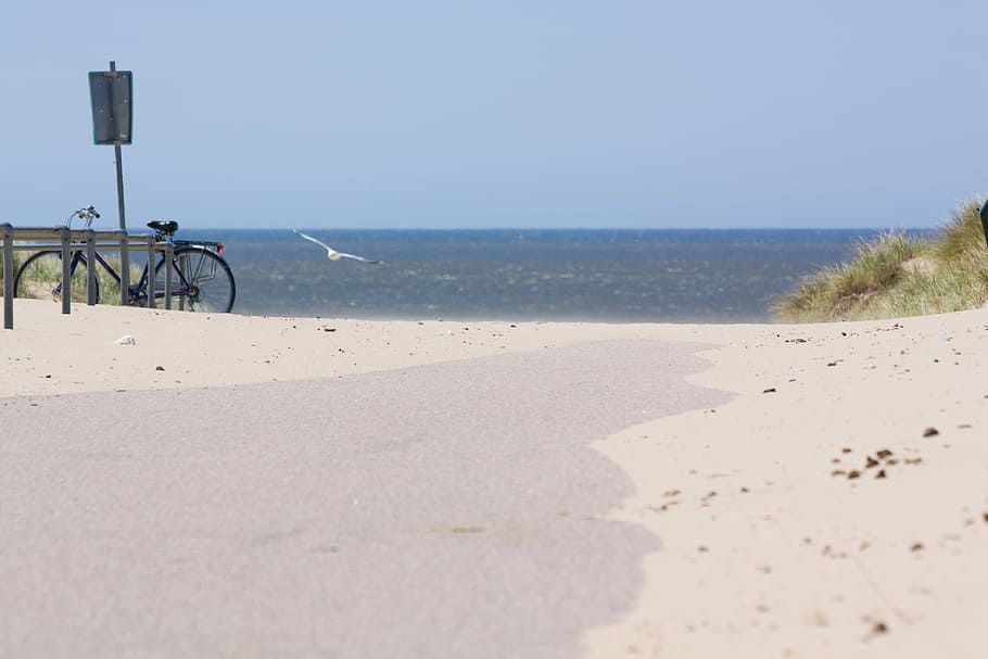 Beach, Dune, North Sea, Sand, Sea, Bike, seagull, away, gone with the wind, HD wallpaper