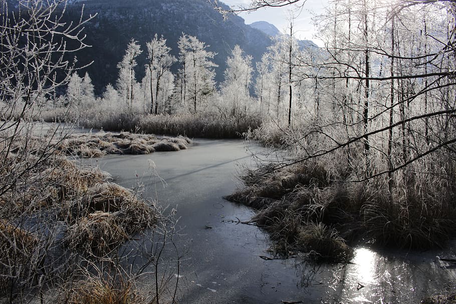 Ice, Winter, Bach, Nature, Landscape, trees, sun, mountains HD wallpaper
