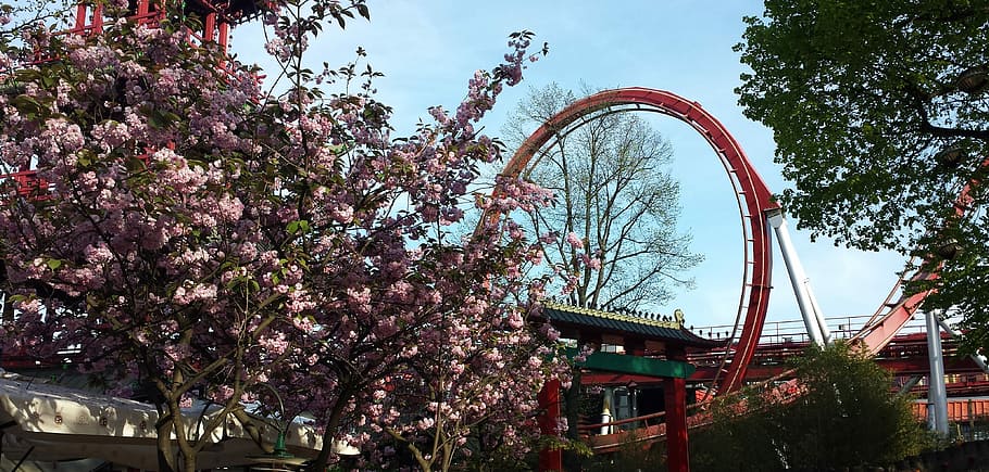 Loop, Tivoli, Denmark, Amusement, amusement-park, rollercoaster HD wallpaper