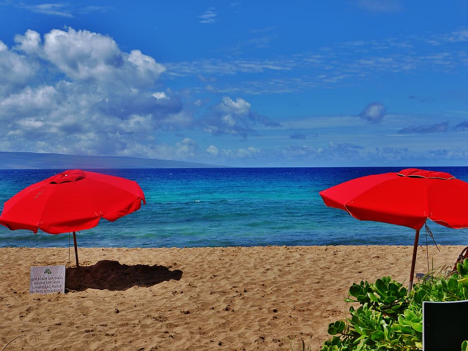 Beach, Sun, Vacation, Ocean, Tropical, blue, nature, lifestyle HD wallpaper