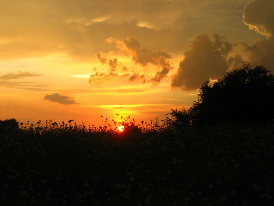 west, sun, sky, sunset, beauty in nature, cloud - sky, scenics - nature HD wallpaper