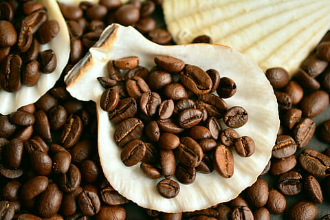 flat lay photography of coffee beans, caffeine, aroma, roasted HD wallpaper