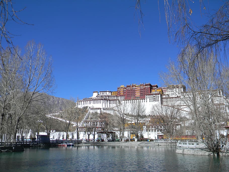 tourism, lhasa, the scenery, the potala palace, tree, architecture, HD wallpaper