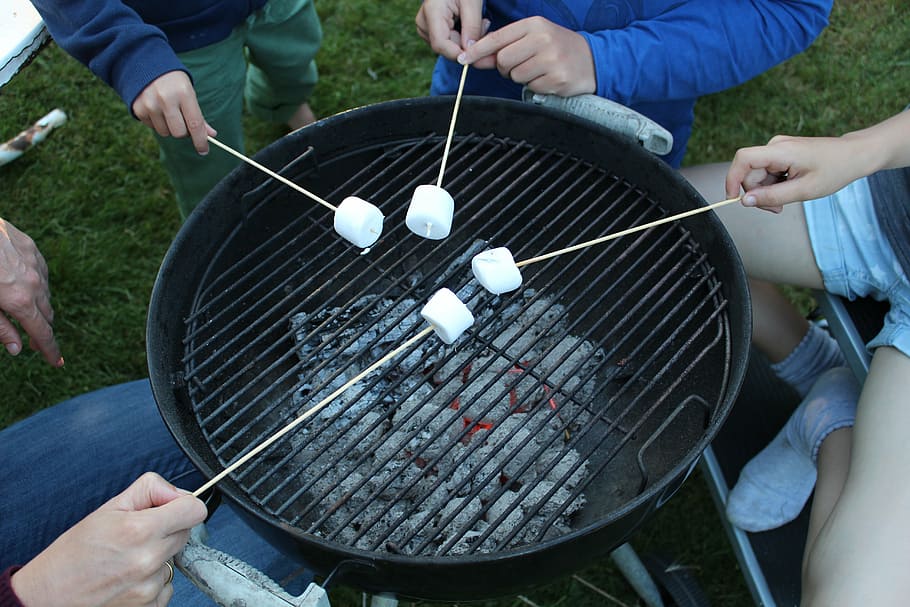four person grilling white mushroom in stick, charcoal, barbecue HD wallpaper