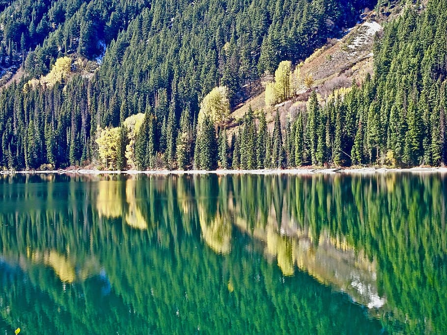 Lake, Reflection, Calm, Peaceful, Shore, scenic, nature, water HD wallpaper
