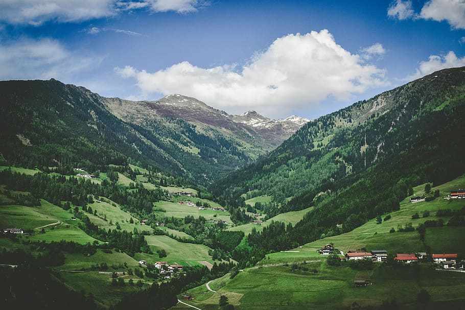 green grass and green trees, aerial view photography of green mountains HD wallpaper