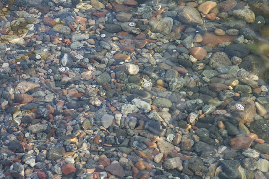 sea, bottom, stone, stone - object, pebble, solid, full frame HD wallpaper