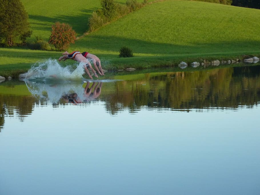 HD wallpaper: plunge, water, pond, jump, reflection, lake, one animal