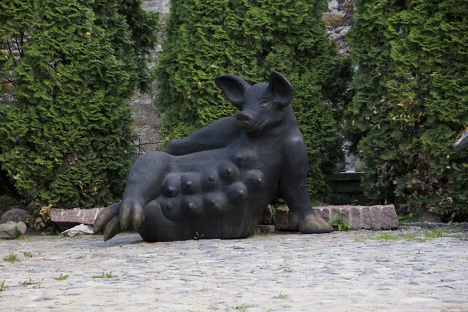 pig, bronze, art, cute, animal world, statue, animal themes HD wallpaper