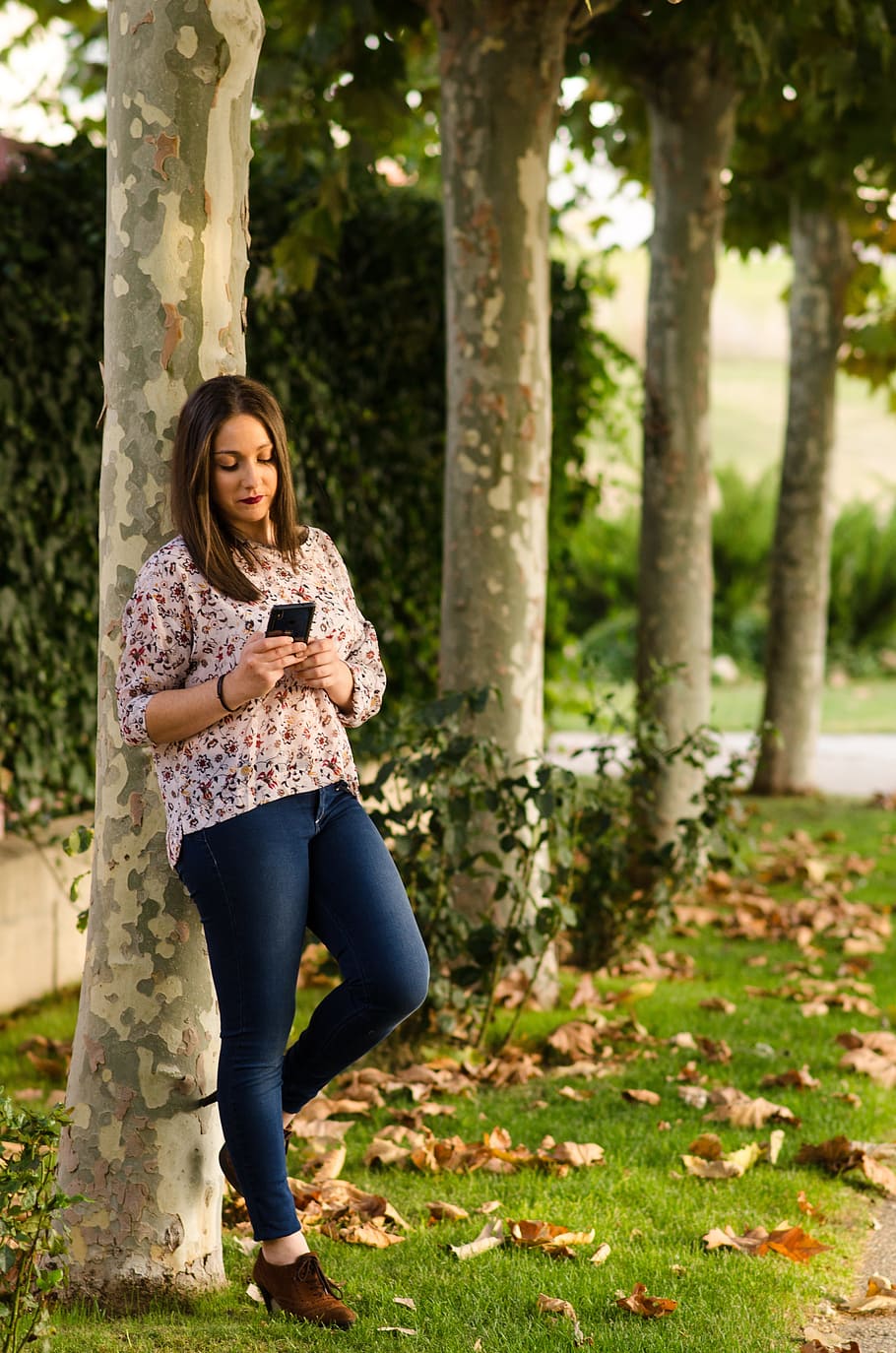 posing, mobile, shop, autumn, women, style, park, tree, plant HD wallpaper