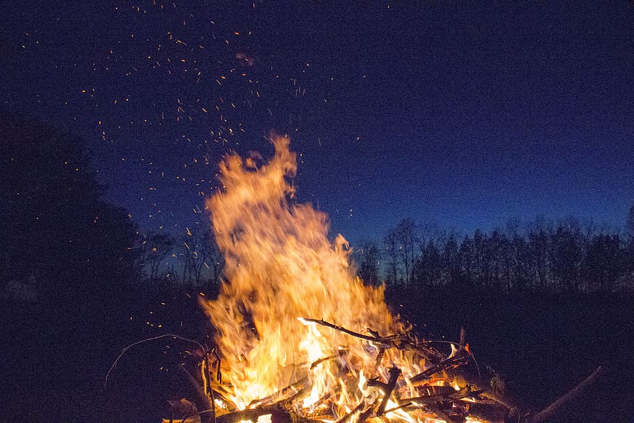 bonfire with silhouette of trees in distant, bonfire during nighttime HD wallpaper