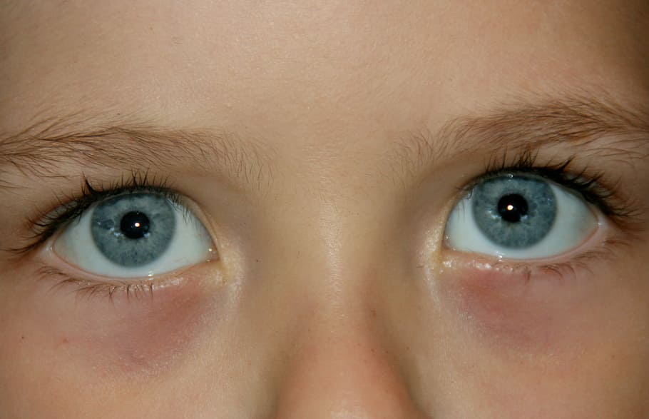 eye, blue, gene, human eye, human body part, eyesight, close-up HD wallpaper