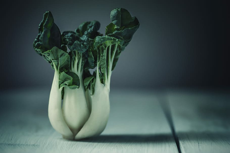 shallow focus photography of cabbage, white and green vegetable