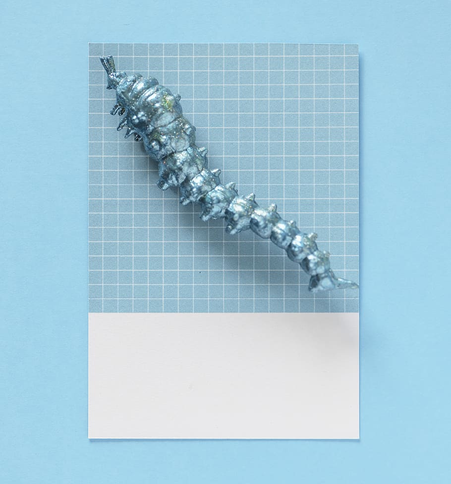 abstract, animal, background, blue, bug, card, centipede, colorful HD wallpaper