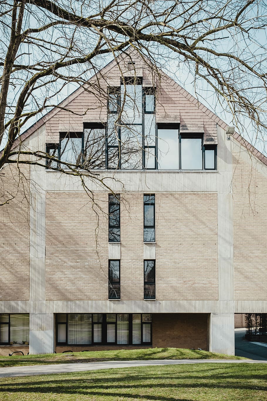 brown and gray concrete building at daytime, photo of building near leafless tree HD wallpaper