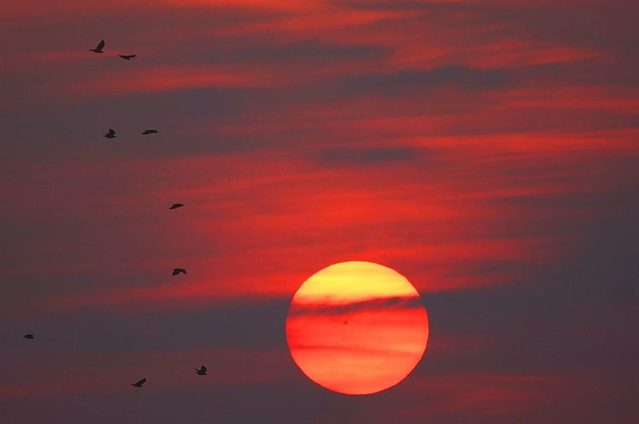 sunset, sky, west, clouds, light, the sun, nature, flying, dusk HD wallpaper