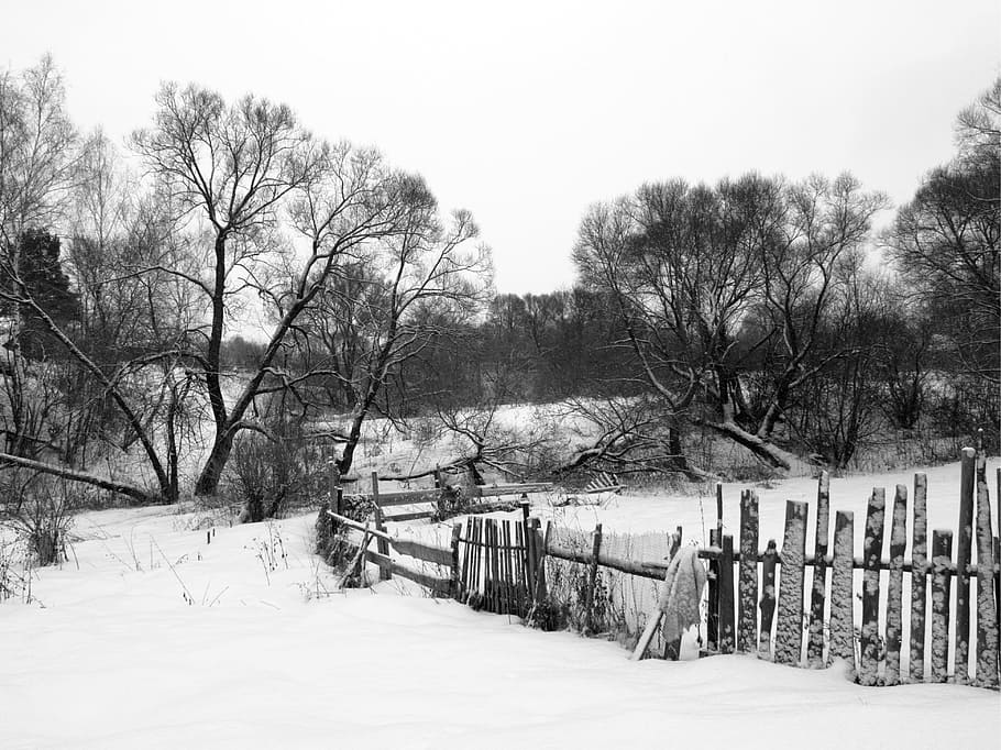 Fence, Yard, Village, Snow, Winter, Net, zherdina, black And White HD wallpaper