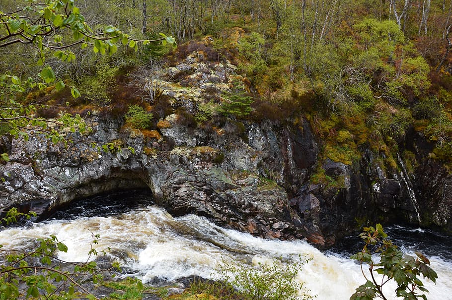 river rapid, nature, landscape, plant, rock, beauty in nature HD wallpaper