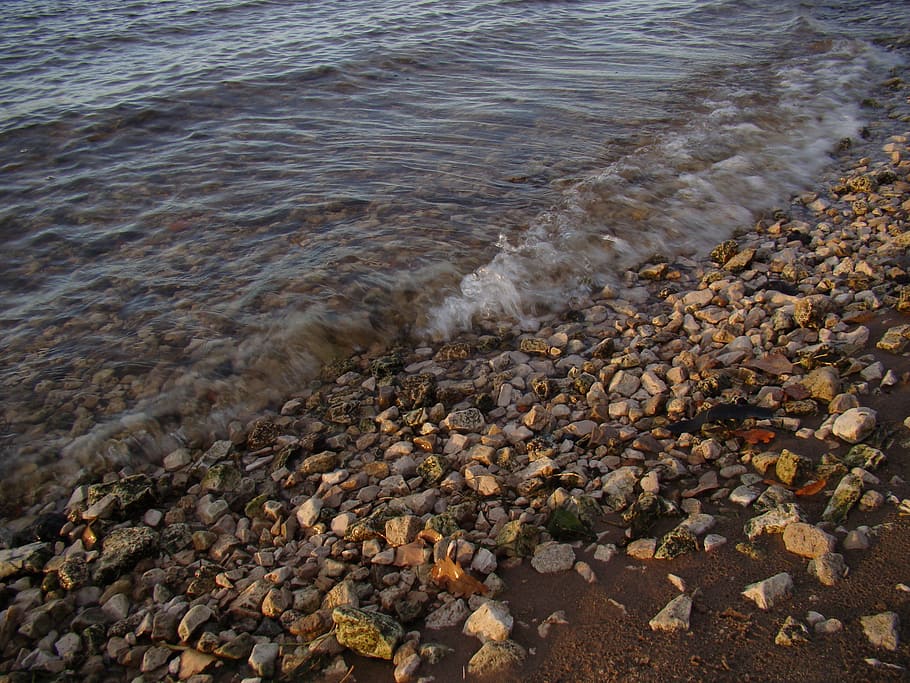 beach, river, stones, wave, leaves, water, sand, rock, sea HD wallpaper