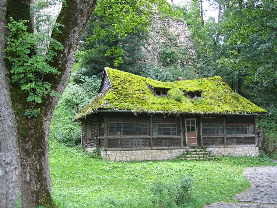 brown house surrounded by trees, field, forest, architecture HD wallpaper