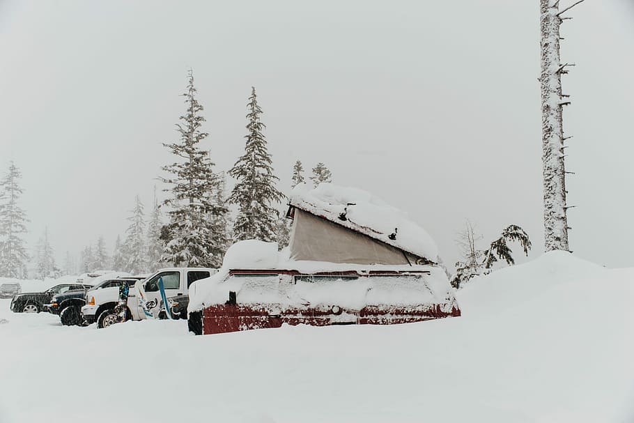 snow-covered red and white cars, snow-covered cars surrounded by pine trees during daytime HD wallpaper