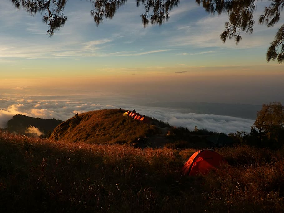 bird's eyeview photo of mountain and bed of clouds, peak, summit HD wallpaper
