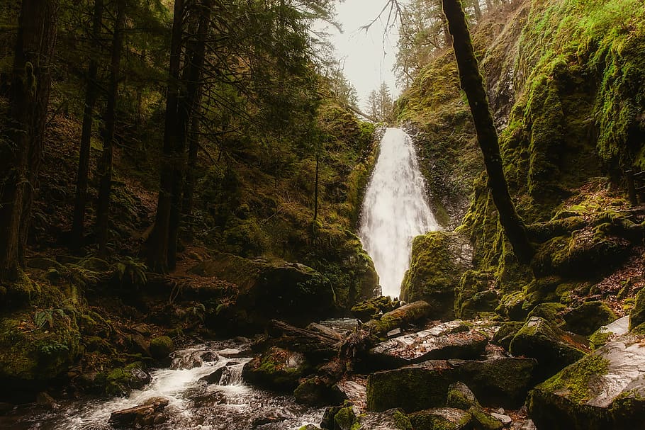 waterfalls, oregon, landscape, stream, creek, rocks, boulders HD wallpaper