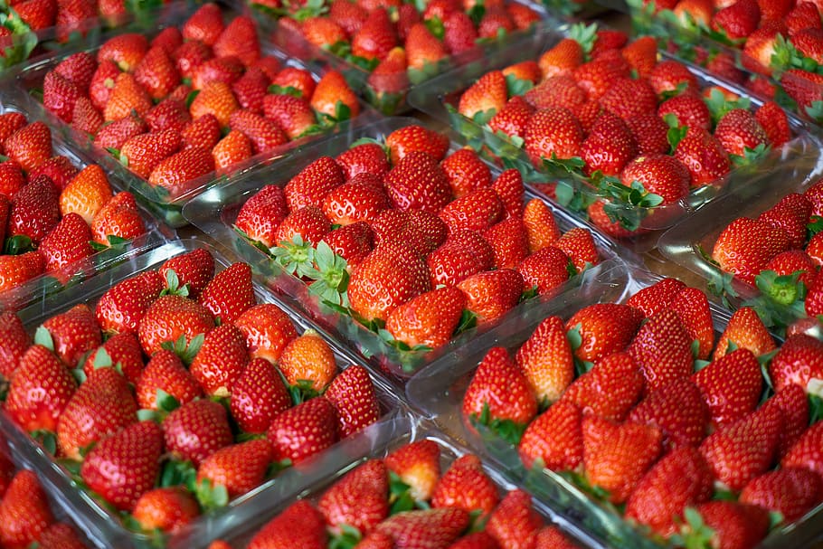 strawberry, macro, red, fresh, fruit garden, healthy, beautiful
