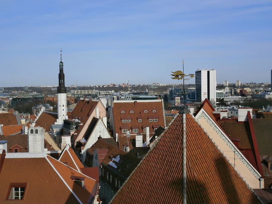 old, town, red, roof, tallinn, estland, estonia, viru, old town HD wallpaper