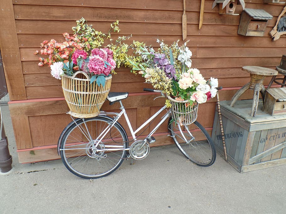 bicycle, flowers, basket, flowering plant, transportation, day HD wallpaper