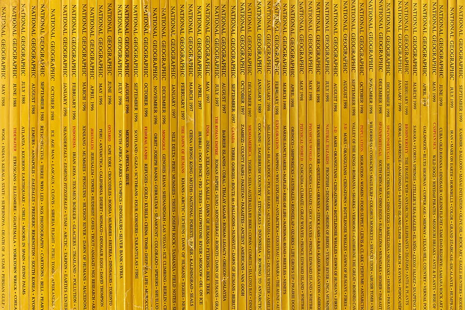 yellow books, untitled, repetition, repetitive, texture, pattern, HD wallpaper