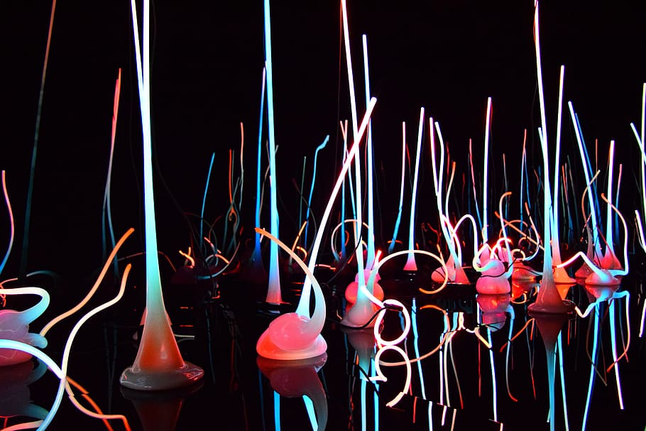 Neon, White, Lights, Reflection, pink, art, chihuly, colorful HD wallpaper