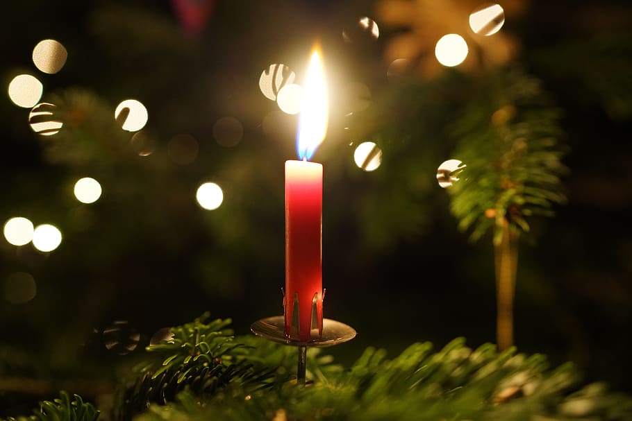 Candle, Light, Flame, christmas, celebration, christmas tree HD wallpaper