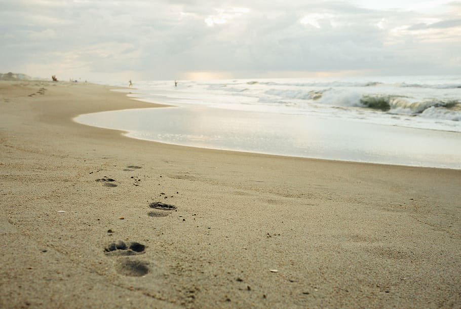 photo of shore with footprints near body of water, seaside HD wallpaper