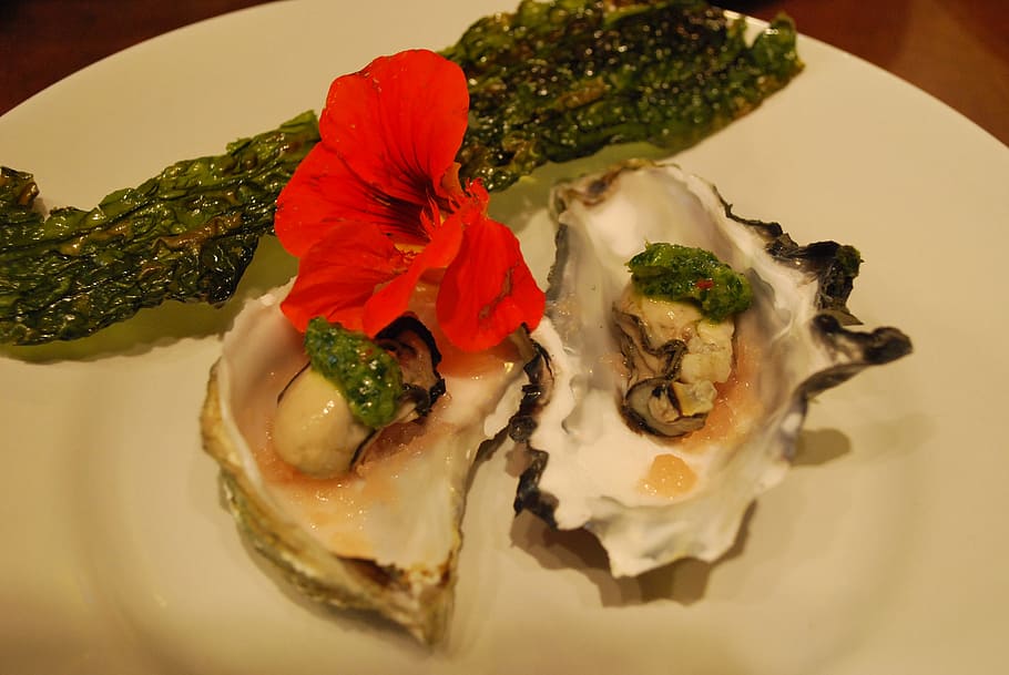 oyster, appetizer, seafood, shellfish, gourmet, raw, healthy HD wallpaper