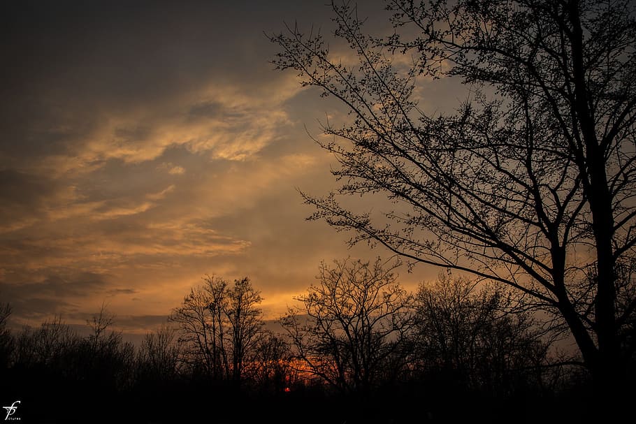 spring, evening, nature, landscape, sunset, horizon, dark, outdoors HD wallpaper